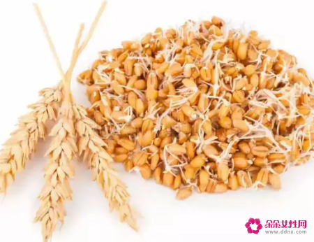 18岁女孩吃什么提高免疫力