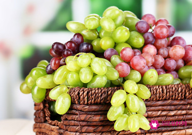 提子可以放冰箱里吗