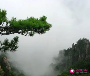 梦见像仙境一样的景色