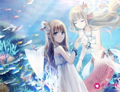 哪个星座能驯服摩羯座