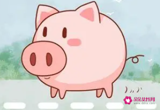 2022年属猪要出大事