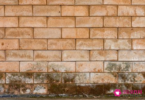 房子墙角潮湿发霉