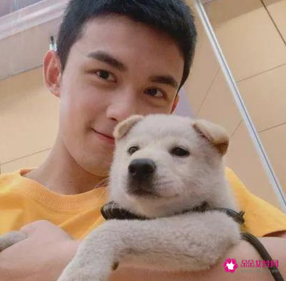 吴磊抱狗姿势冲上热搜