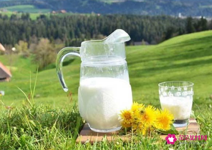 奶类的营养价值及功效