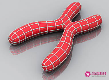 生男孩还是生女孩是由精子类型决定