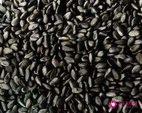 补肾壮阳的蔬菜水果有哪些