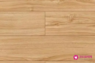 强化地板十大名牌