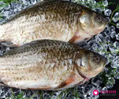 梦见死鱼在水里是什么意思