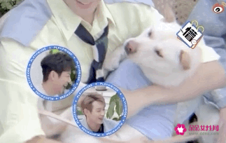 吴磊抱狗姿势冲上热搜