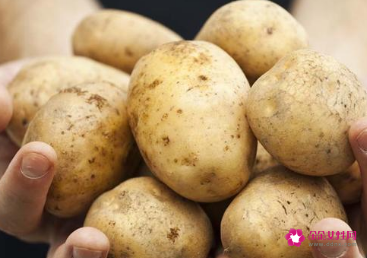 适合减肥期间的主食