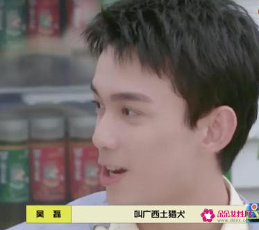 吴磊抱狗姿势冲上热搜