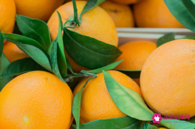 柑橘的热量是多少