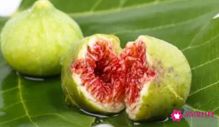 女人患卵巢癌多吃两种水果