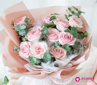 送母亲康乃馨多少朵合适