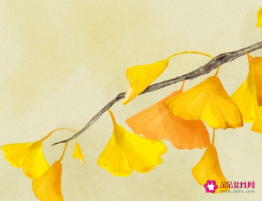 二十四节气的先后顺序