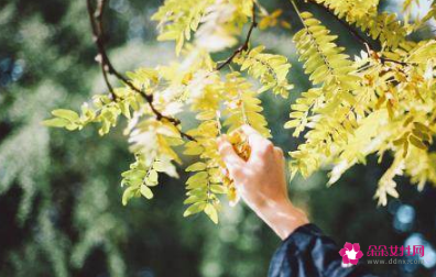 有钱人一般会看上的女人