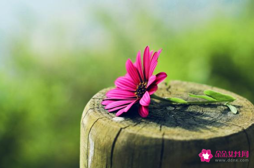 女性遇到真爱有哪些生理反应