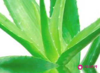 怎样美白皮肤最有效小视频