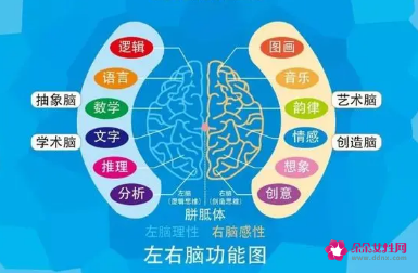 学什么能开发右脑