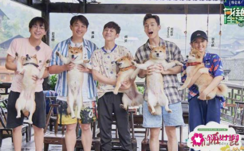 吴磊抱狗姿势冲上热搜