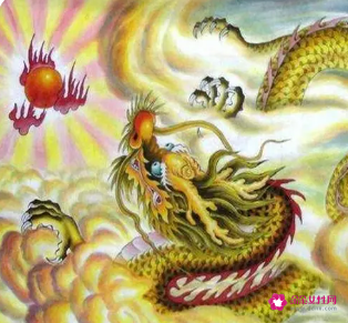 爱龙女如命的生肖男