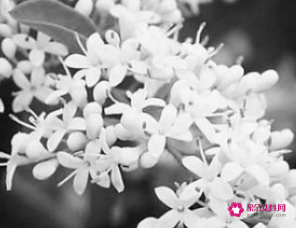 什么东西放在卧室最致癌