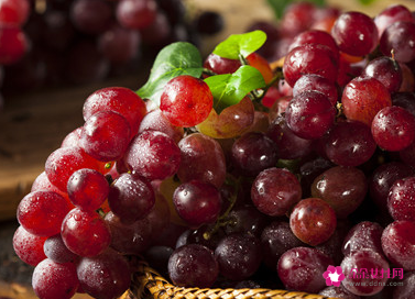 提子可以放冰箱里吗