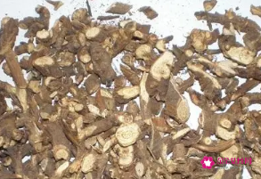 北柴胡的功效与作用