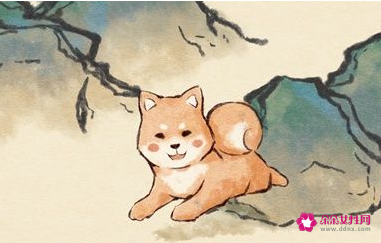 属狗女佩戴什么招财