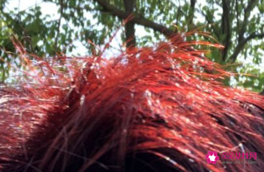 男生冷色系发色