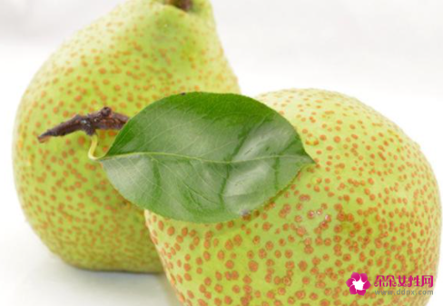 莱阳慈梨膏的功效