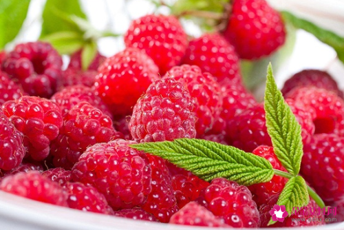 树莓的功效与作用是什么