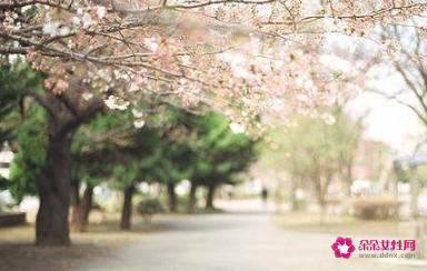 有钱人一般会看上的女人