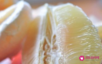 适合减肥期间的主食