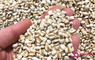 提高免疫力的食物排行榜前十名