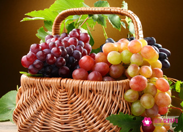 提子可以放冰箱里吗