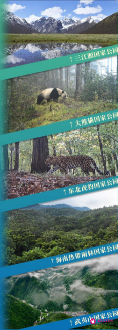 中国第一批国家公园都在哪