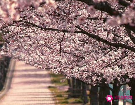 QQ经典心情说说