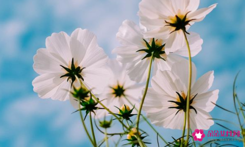 女性遇到真爱有哪些生理反应