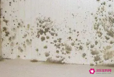 霉菌对人体的危害有哪些