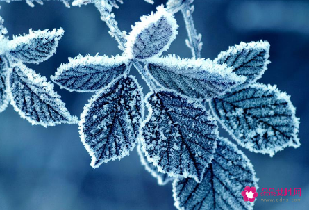 霜降出生的人命运怎么样