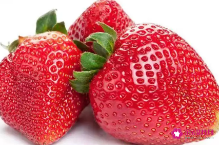 新手怎么吸草莓印