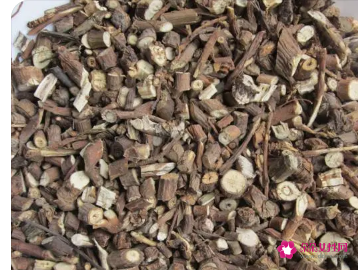 北柴胡的功效与作用