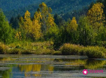 梦见像仙境一样的景色