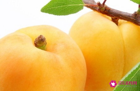 杏罐头的功效与作用