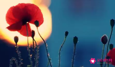 巨蟹唯一会读心术