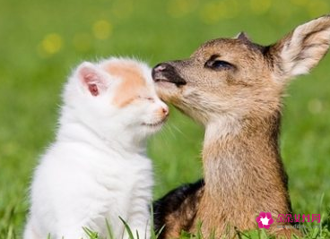 女生笑怎么幽默回复