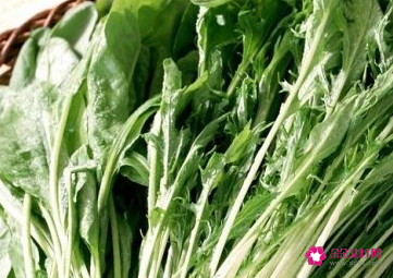 适合减肥期间的主食