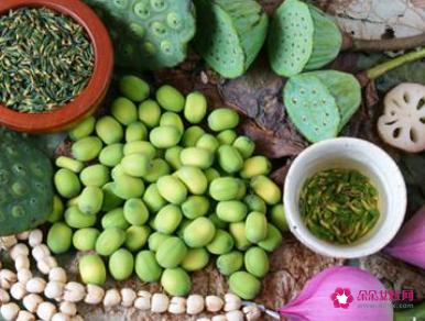 吃新鲜莲子的好处