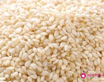 含维生素e较多的食物